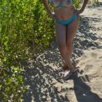 ������� �������