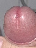 ��� ���� �������