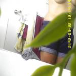 ���� ���������