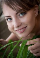 ����������� �������