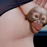 ���� ����� � �������