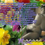 ����� ��������