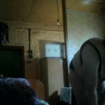 ���� � ������