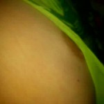 ����� � �����