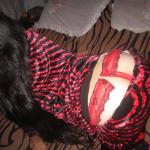 ��������� ����