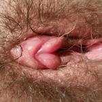 ����� ���� ��������.