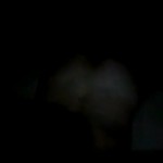 ���� ������