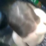 ���� ������