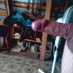 ������� ���� �������