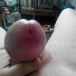 ���� ����� �����