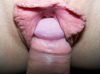 �������� � �����������