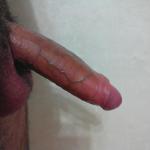 ��� �����