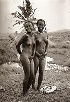 ����� 4 �����