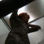 �������������.