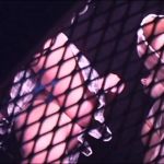 ������ �������.