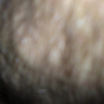 ������ ����� ������ ���� ����� ������