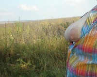 �������� ���� �� ��������