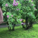 ������� ������.