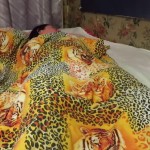 ������� ����������� ����� 60