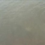 �� ������