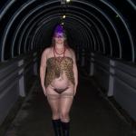 ������ ��������