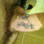 ��� ������� ��� ��� �����