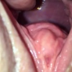 ������� ������ �������������������