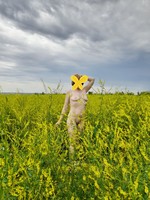 ������� ����