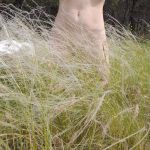 ������ ���� ����