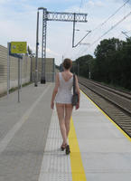 ���� ����� �����