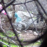 ������� ������ � �������� 3