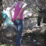 ������� ������ � �������� 15