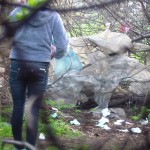 ������� ������ � �������� 17