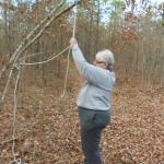 �������� � ����