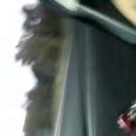 ������������ �� �������� ������� �� ����