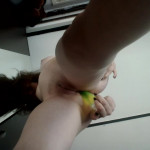 �������� ����������� ��� �����