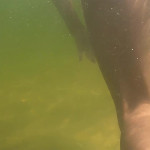 ��������� ����� ������ 23