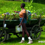 ����� � ����� �����������