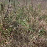 �� �������� ���������� �� ����� 4