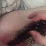 ���� ������� ���� ��������� 2