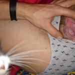 �������� �����, ������ �����