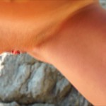 ����� ������ ������� ������ � ���������