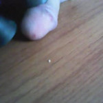 ������������ ������