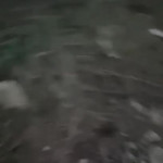 �������� �� �����