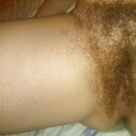 ������� �����������