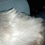 ��������� ������� � ���� � ������