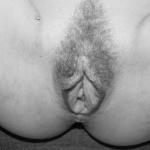 ����� � �����-�����