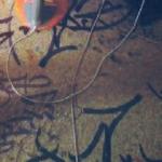 ���� ��������