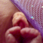 ����� �������