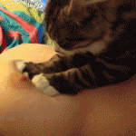 �����-����-����.